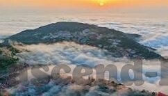 世界杯秘鲁2018-2018世界杯秘鲁队，南美劲旅的荣耀与挑战
